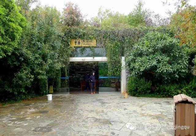 景區(qū)女廁排長隊(duì)，代表緊急提案！女性游客的方便之痛何時(shí)解？